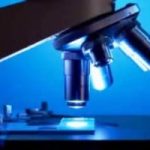 Cosa ci riserva la decima edizione del Festival delle scienze?