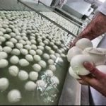 Mozzarelle. Attenzione a cosa portate in tavola