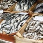 Il pesce fa bene, nonostante il mercurio