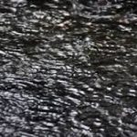 Tempesta di pioggia. Oltre 40 morti