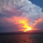 Erutta vulcano delle Galapagos. A rischio Iguana Rosa. Foto