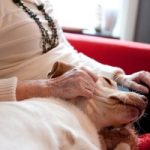 Cani insieme a padroni nelle case di riposo