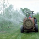 Arrivano i bio-insetticidi: non inquinano e salvano la frutta