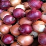 Cipolle: 5 diversi tipi e il loro utilizzo
