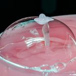 Sapone liquido o barretta? Scopriamo chi è più amico dell'ambiente