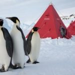 Cercasi medico per missione in Antartide. La paga? 245 euro al giorno