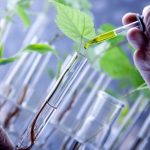 Biocirce è il primo master dedicato alla bioeconomia