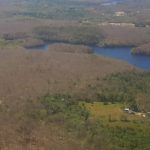 Un'invasione di bruchi visibile dallo spazio