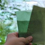 Imballaggi a base di alghe