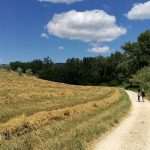 Al progetto “Formazione in cammino” il Premio AIF “Adriano Olivetti”