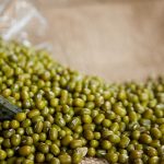 I fagioli indiani verdi giovano alle colture di cereali