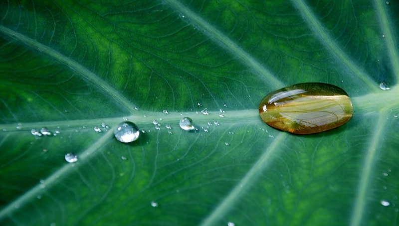 risorse idriche