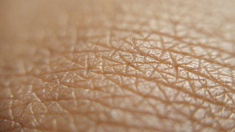 tessuto umano artificiale