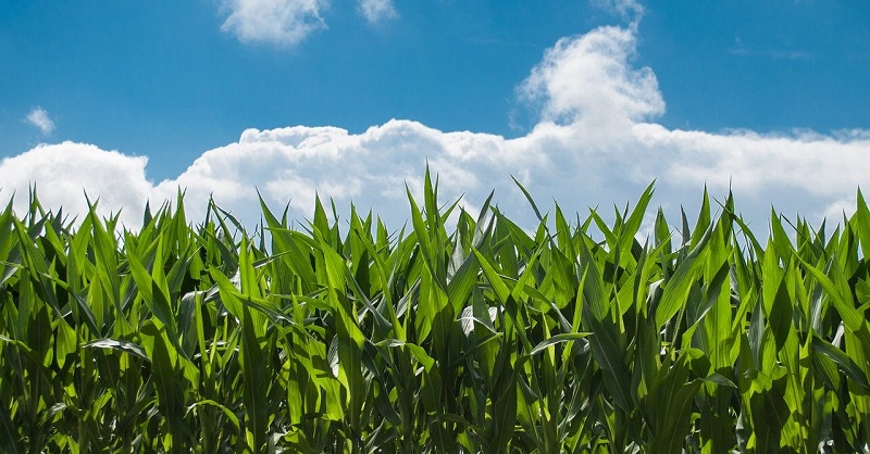 agroalimentare