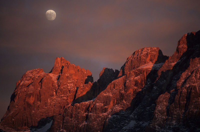 pale di san martino trentino