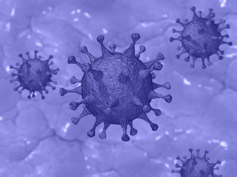immunità