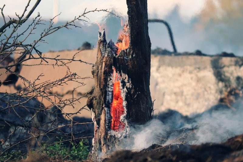 fumo degli incendi