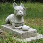 cimitero di animali