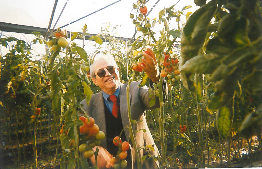 piero barone