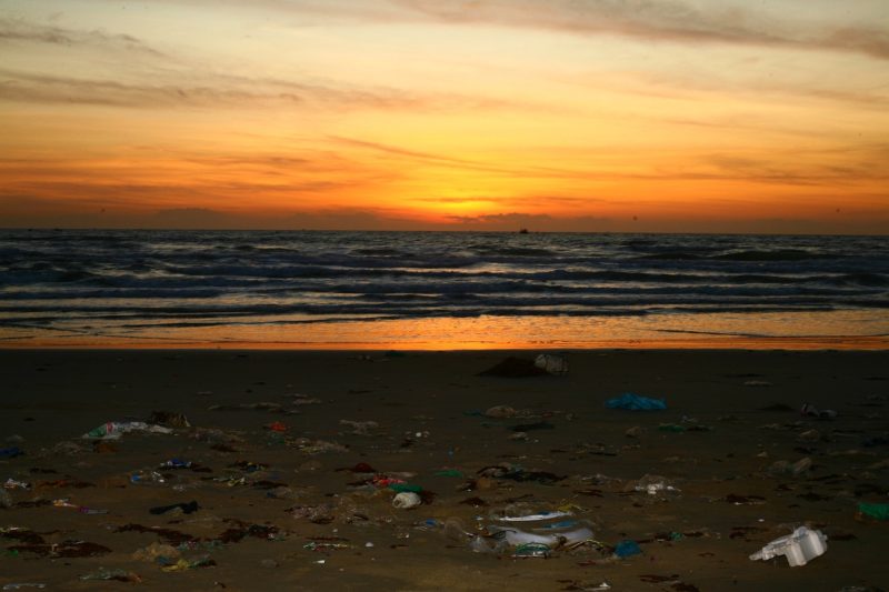microplastiche