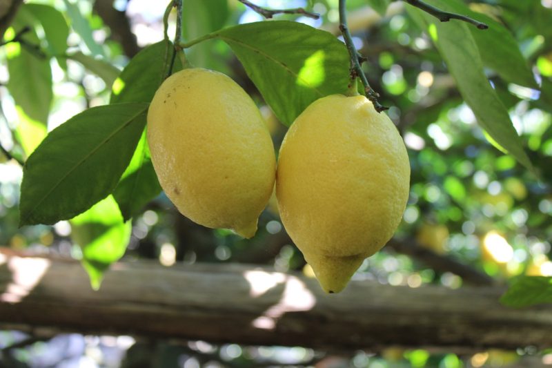 costiera amalfitana