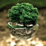 ecocidio