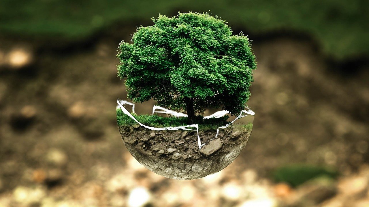 ecocidio