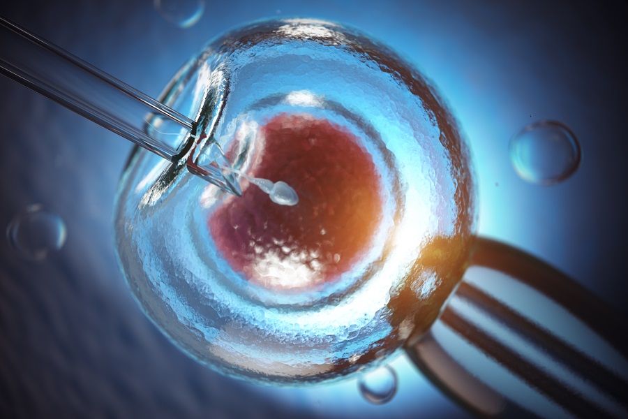 fecondazione in vitro
