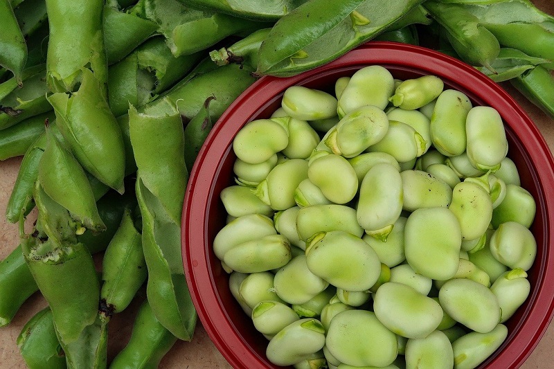 anticipo di primavera