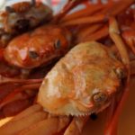 La scomparsa del granchio delle nevi in Alaska