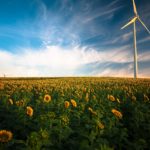 Turbine eoliche a forma di fiore