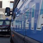 Agrigento, orrore a Naro: sgozza randagio e tenta di mangiarlo
