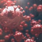Covid, scoperta Mip-C nuova malattia letale associata al virus. Bassetti: Nessun allarme