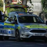Auto contro i cancelli di Buckingham Palace, un arresto