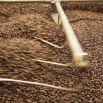 'Finché il caffè è caldo', incontri e acquisti natalizi su inserimento per detenuti Rebibbia