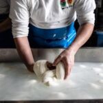 Sostenibilità, per ogni kg di mozzarella dop sottratti 52 kg di Co2 dall’ambiente