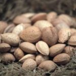 Frutta in guscio protagonista al Sigep con campagna Masaf-Ismea