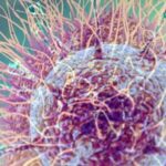 Covid e studio shock su origine in laboratorio: cosa dicono gli esperti
