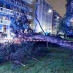 Maltempo nel biellese, alberi caduti e allagamenti