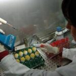 Aviaria, morto negli Usa il primo caso umano di H5N5
