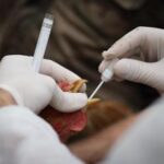 Aviaria, rischio nuova pandemia? Virus preoccupa e va monitorato