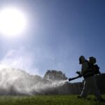 Dengue, coppia contagiata in Umbria: Avevano fatto un viaggio all'estero