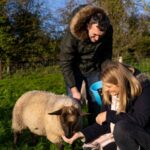 L’Irlanda cerca amici della natura, vitto e alloggio in cambio di aiuto