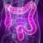 Medicina, sindrome intestino irritabile e sistema cardiovascolare sono legati