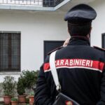 Padova, 83enne aggredita dai suoi 5 cani: le amputano le braccia