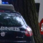 Aggredita in casa dal cane del nipote, morta 97enne