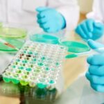 Tumori, Ail e Gitmo: Nel 2025 Giornata paziente trapiantato di staminali emopoietiche