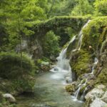 Ecocidio, Avs propone reato per chi danneggia ambiente, da 12 a 20 di reclusione