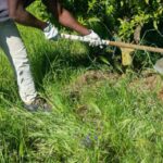 Latina, lavoratore agricolo indiano perde un braccio: scaricato in strada senza soccorsi