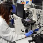 Scoperto Mytho, il nuovo gene anti-età